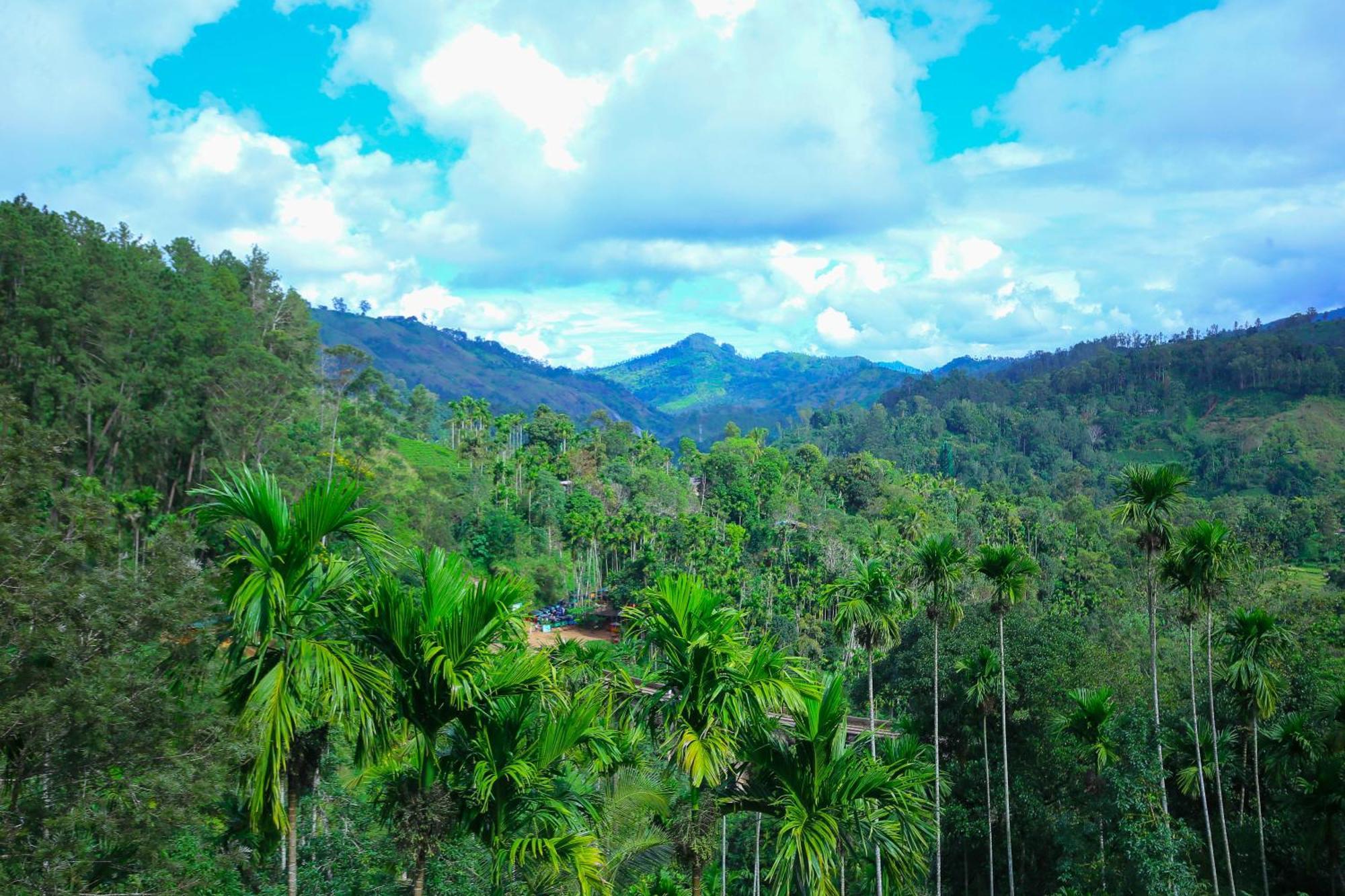 Nine Arch View Ella Apartment Bagian luar foto