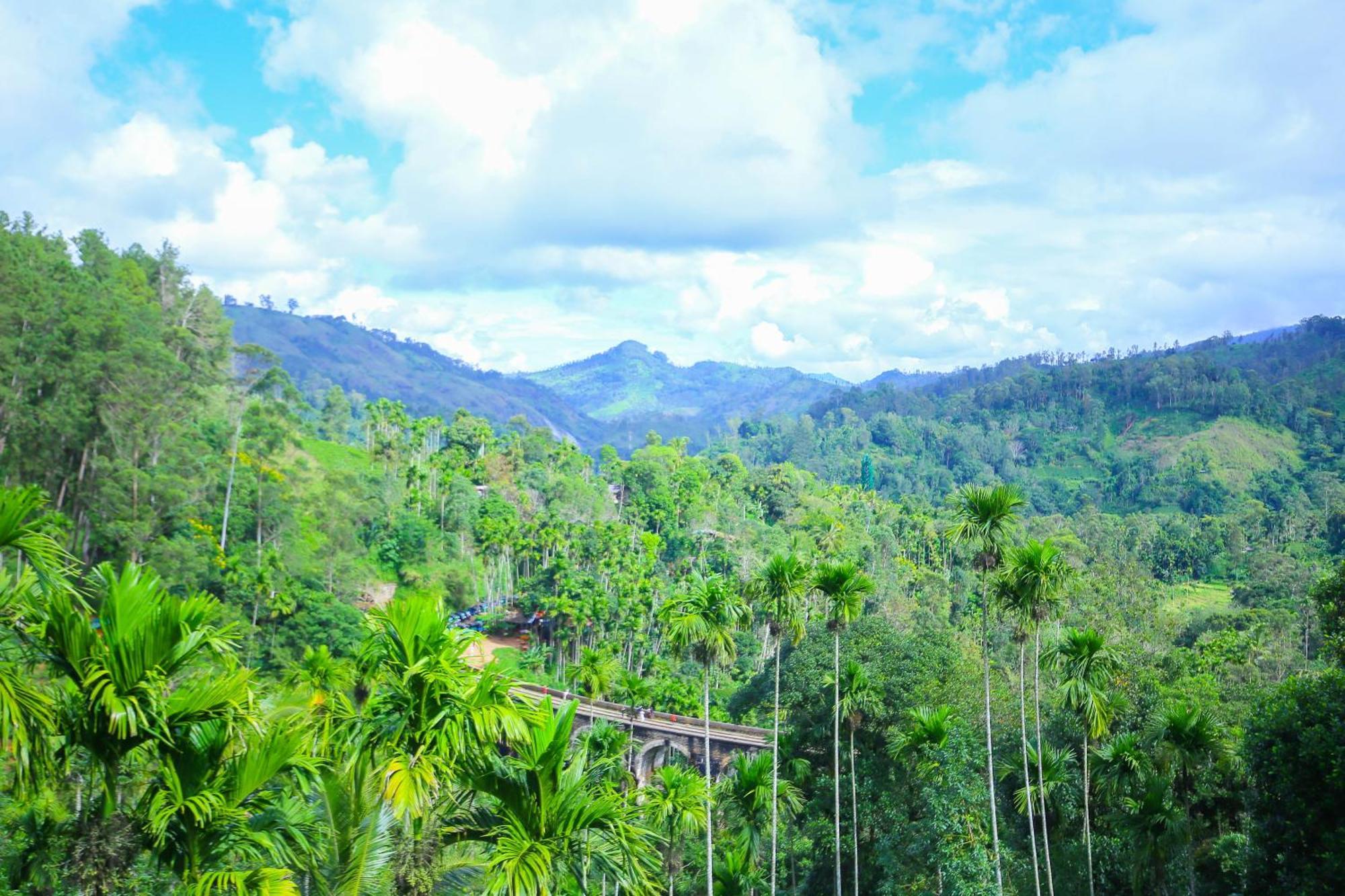 Nine Arch View Ella Apartment Bagian luar foto