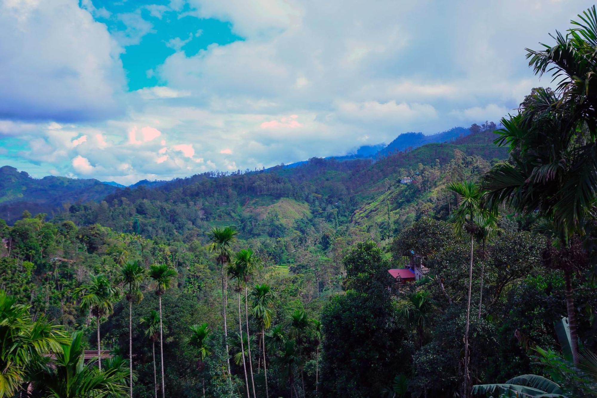 Nine Arch View Ella Apartment Bagian luar foto